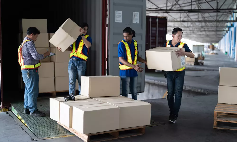 Delivery Professional